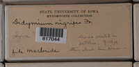 Image Associated With the Occurence